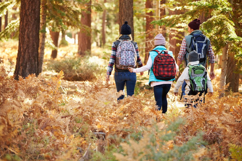 Trekking com Crianças: Dicas e Trilhas Adequadas para Famílias