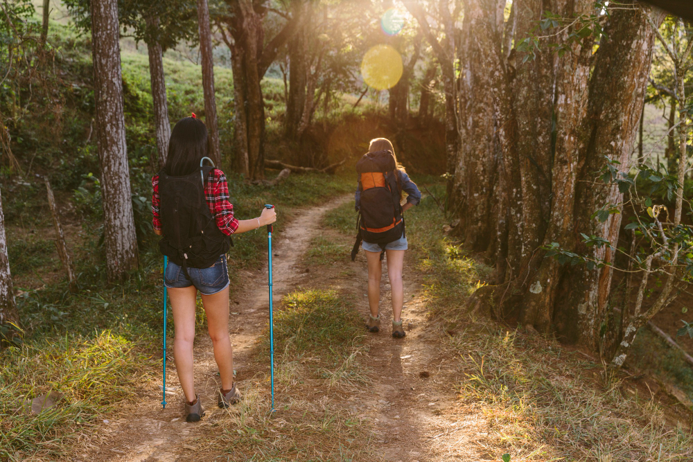 Trekking e Sustentabilidade