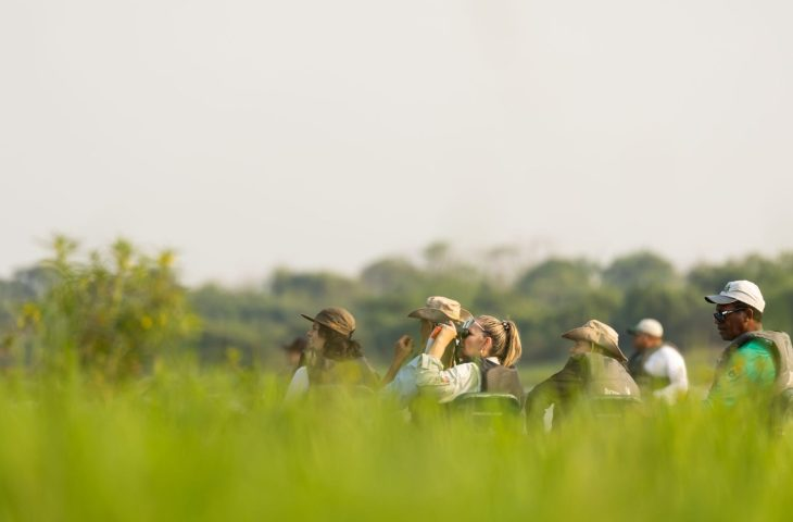 Observação de Aves Durante o Trekking